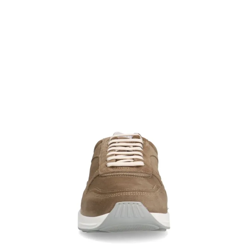 Van Lier Taupe suède sneakers^Heren Sneakers